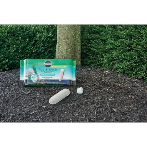 Image of Miracle-Gro Tree and Shrub Plant Food Spikes - Deciduous, Flowering & Evergreen Tree Fertilizer Spikes, Hydrangeas, and Acid-Loving Plants, 12 Count, 3 lb. (Pack of 12)