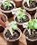 homenote Nursery Pots