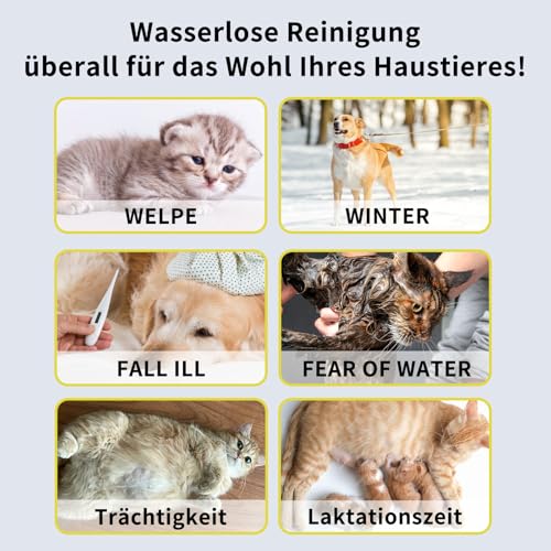 Trockenshampoo Hund & Katze – Wasserloses Hundeshampoo Schaum für empfindliche & juckende Haut – Sanfte Reinigung ohne Ausspülen – Anti-Juckreiz Trockenpflege, 200 ml