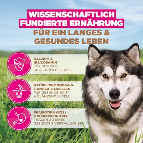 Eukanuba Hundefutter getreidefrei mit Fisch für große Rassen, Premium Trockenfutter ohne Getreide für ausgewachsene Hunde, 12 kg