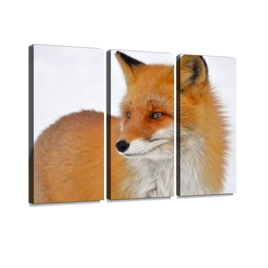 北海道の可愛い動物 A4写真プリント ガラス入り額装 ～キタキツネの愛～ 北海道の可愛い動物 A4写真プリント ガラス入り額装 ～ぴょこん