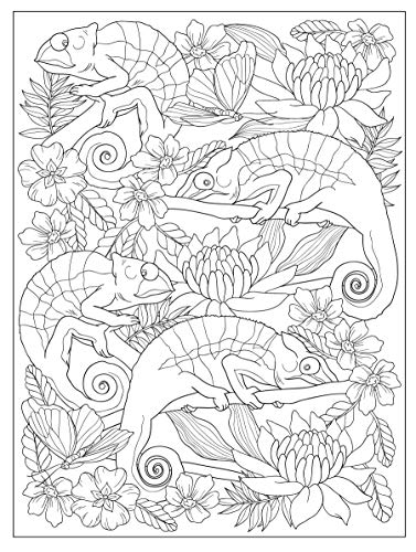 Creative Haven Truly Tropical Coloring Book (Adult Coloring Books: Nature) #TOP5