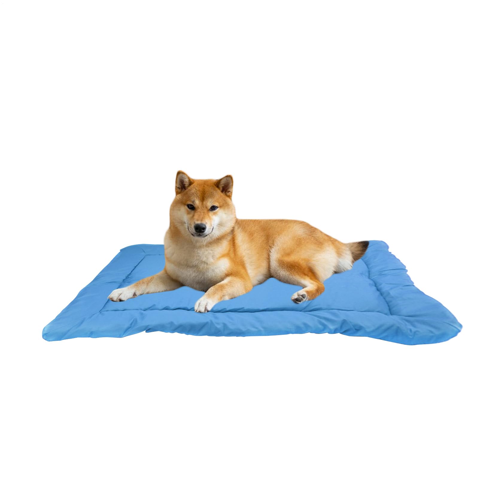 Cuccia Esterna Impermeabile per Cane Per Taglie Piccola, Media, Grande, | Letti Portatili per Cani da Campeggio e Viaggio Articoli Animali da Esterno