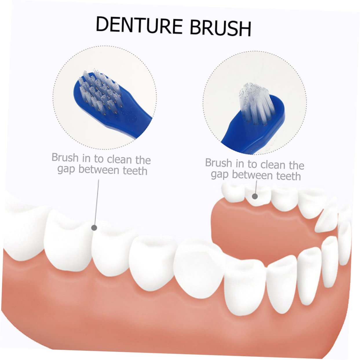 Gatuida 24pezzi Spazzolino Dentiera Portatile Spazzolino Per Adulto Con Doppia Testa Per Orale e Pulizia Protesi Ergonomico e Facile Da Trasportare