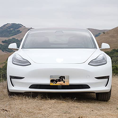 Lefolen Front License Plate Covers Black Horse Gallop Sunrise,Nature Animal Mane Herd Grassland Jump Sunset Auto Car Tag Vanity Plates Aluminum Novelty Metal Plate For Men Woman 6" X 12" #TOP4
