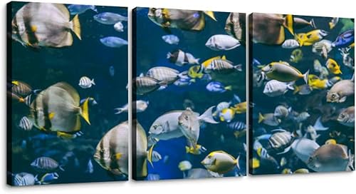 Ripley Aquarium Toronto Canvas Wall Art Set of 3