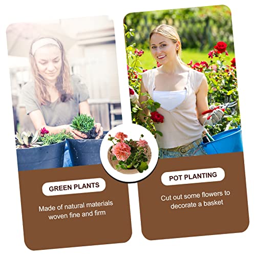 Yardwe 1Pc Decorations Coir Office Bowl Natural Island Succulent With Patio Table Plants Plant Creative Plantert Decorative Hanging Baskets Mini Growers Shell Balcony Ball Fiber #TOP3