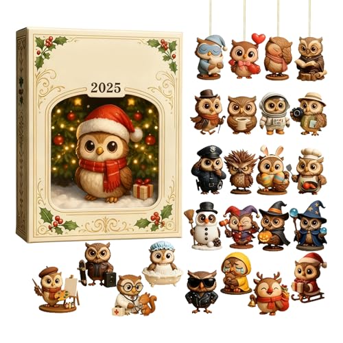 Juguete De Calendario De Adviento,Decorativo En Acrílico Plano 2D - Juguete De Adviento Con Colgante De Búho 2025 Para Niños - para Mujeres Hombres Niños Niñas Jóvenes Familia