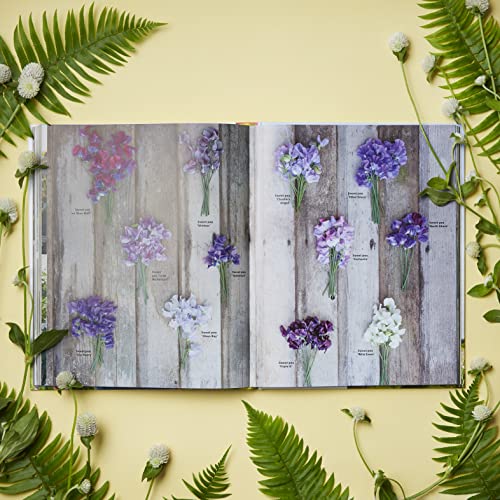 Floret Farm's A Year in Flowers: Designing Gorgeous Arrangements for Every Season (Floret Farms x Chronicle Books) - Image 14