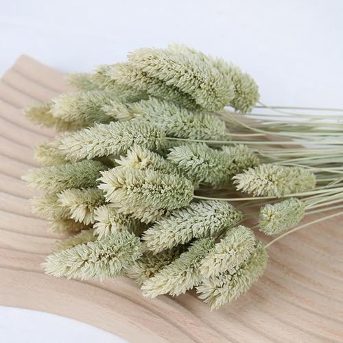 Ramo de flores secas 50 piezas beige para decoración miniatura 2