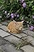 Hi-Line Gift Ltd Tabby Sleeping Cat Statue, Orange