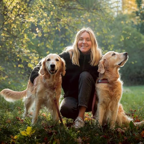 Hundstallets &aring;rsresum&eacute; 2023