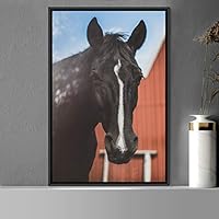 Framed Canvas Wall Art Horse Animals Dramatic Farmhouse/Country Horse Living Room Multicolor Photography - 16x24 inches