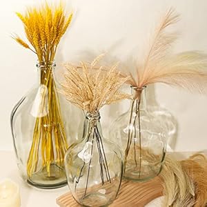 Large glass vase clear for decor large glass jug vase farmhouse style big belly large clear glass vase tabletop bedroom centerpieces decorative flower floor vase  urban country home decor