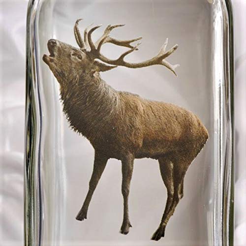 GTK - Geweihe & Trophäen KRUMHOLZ 7 teiliges Schnaps Gläser Set + Karaffe mit Jagddekor Hirsch farbig