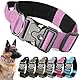 AKOFIC Taktisches Hundehalsband mit Griff, Breites Halsband Hund Gepolstert aus Nylon, Verstellbar Robuster Dog Collar mit Metallschnalle für Mittlere Große Hunde (Lila, L)