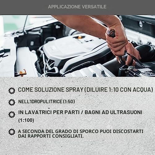 DELLWING detergente a ultrasuoni concentrato, per carburatore, teste dei cilindri, iniettori, ugelli degli iniettori e altre parti, liquido per bagno a ultrasuoni e sporco ostinato, bottiglia da 1 l