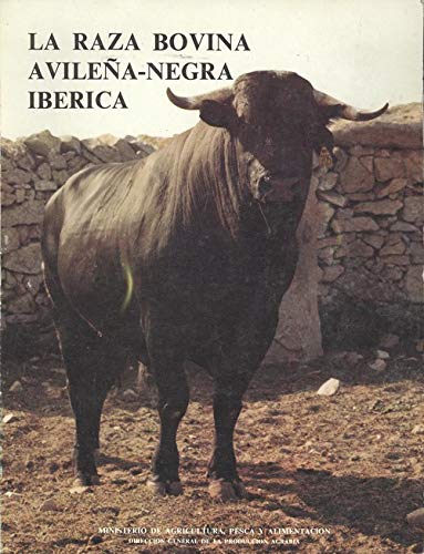 raza-avile-a-negra-ib-rica-la-espa-a-dir-gral-produccion-agraria