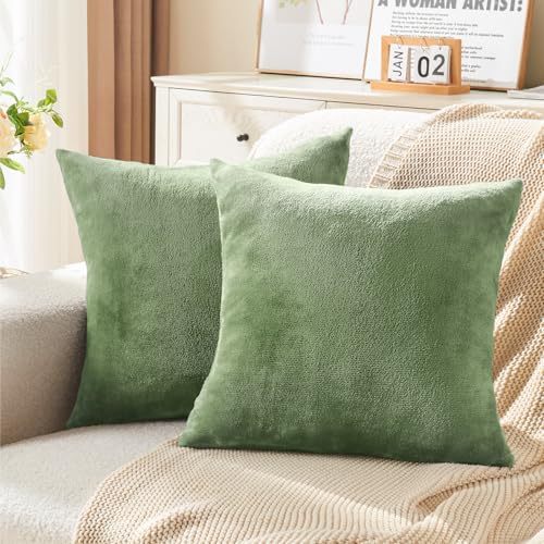 Image of BEDELITE Velvet Pillow Covers with Zipper, Sage Green, 18x18 Inches, 2 Pack | Super Soft, Cozy Luxury Feel, Square Decorative Pillow Covers, for Bedroom Sofa Couch, All-Season Comfort, Easy Care