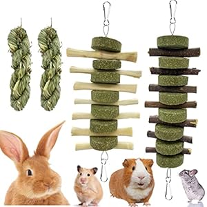 Rabbit Guinea Pig Bunny Chew Toys f...