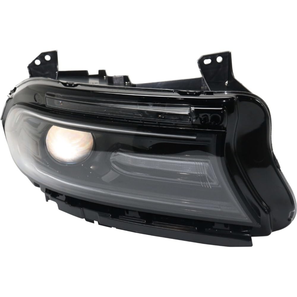 Amazon.com: WXIHQ Headlight Halogen Right Passenger Side Clear 