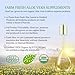 AloeCure USDA Organic Aloe Vera Juice Made Within 12 Hrs of Harvest - Pure Aloe Juice Natural Digestive Supplement to Support Digestion, Immune System and Balanced Stomach Acidity, 2 x 500ml Bottles