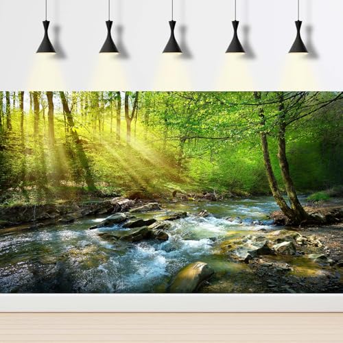 Image of Forest Aquarium Background Flowing Stream Sunbeams Fish Tank Background Lush Green Trees Fantastic Natural View Reptile Tank Backgrounds Deep Rainforest Jungle Reptile Enclosure Backgrounds 72x16in