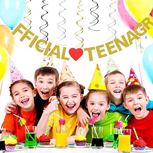 Official Teenager Banner, LANMOK 13th Happy Birthday Banner with 6pcs Glitter Ceiling Swirls Hanging Decor for 13th Birthday Party Supplies Ceremony Decorations