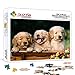 Mini puzzle da 1000 pezzi per cani adulti animali giochi educativi Brain Challenge 1000 puzzle per bambini adulti 38x26 cm