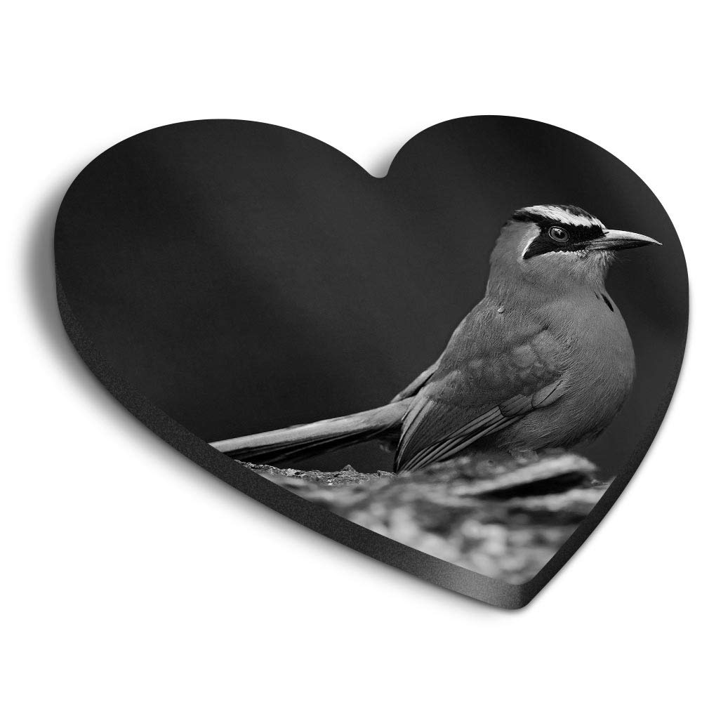 1 x Heart MDF Magnets - Capped Motmot Bird 41958