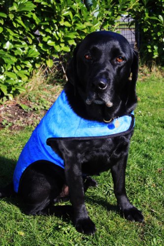 best cool coat for dogs uk