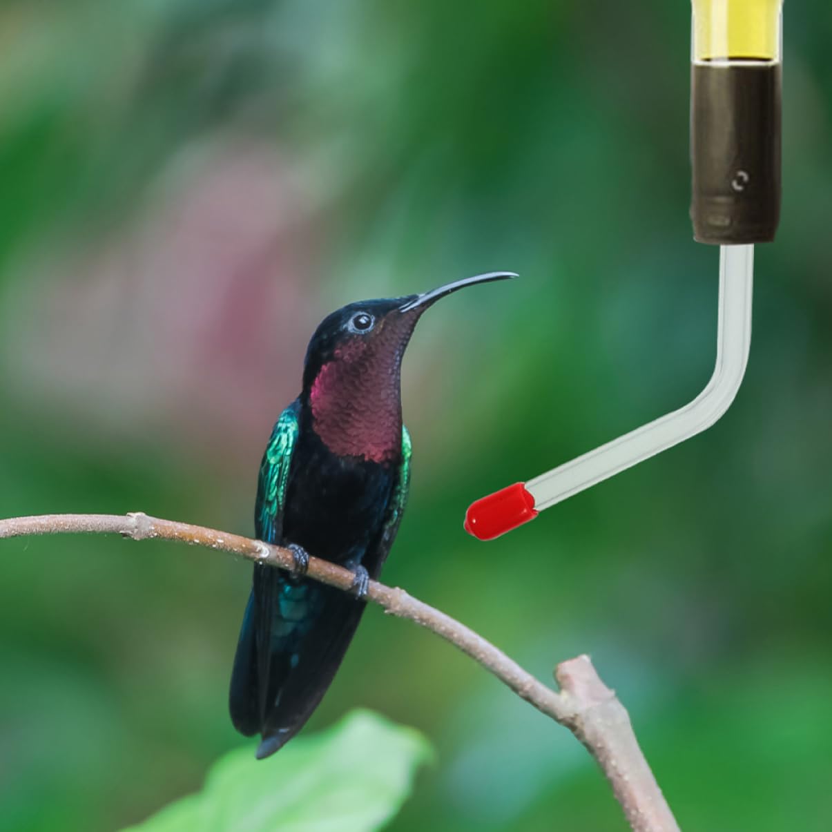 YARNOW 3 Set Di Mangiatoie Per Colibrì in Tubi Per L'acqua Per Uccelli All'aperto Per Una Comoda Alimentazione Degli Uccelli 2 Pezzi * 3