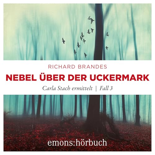 Page de couverture de Nebel über der Uckermark