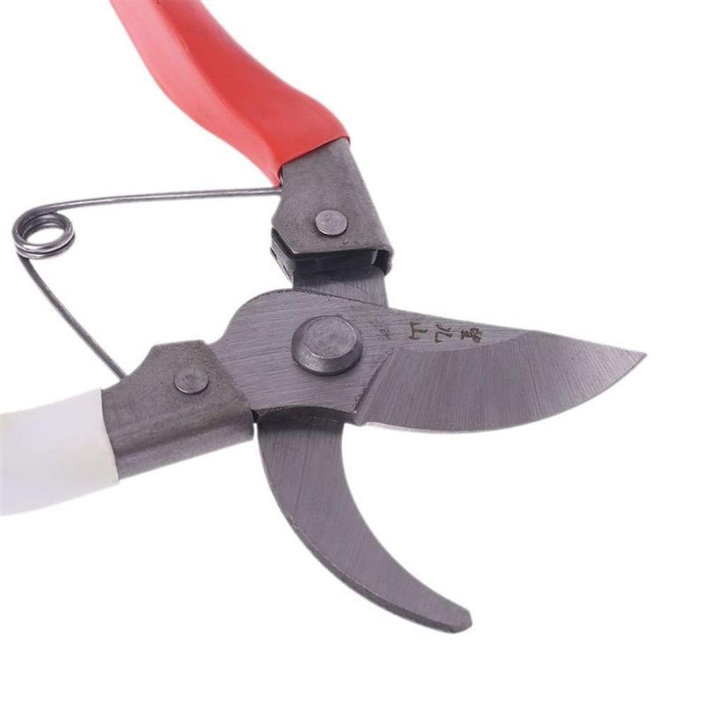 Forbici da potatura, cesoie, cesoie per Piante, Utensili per cespugli, taglierine da 8", Forbici da Giardino