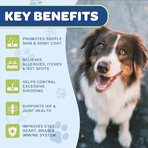 Omega 3 Fish Oil for Dogs – Salmon Oil for Dogs Skin and Coat Supplement with EPA & DHA Fatty Acids – Dog Itch & Allergy Relief, Anti Shedding, Hot Spots Treatment – Hip & Joint Support – 120 Counts