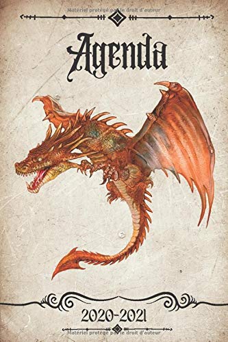 Télécharger Agenda 2020-2021: Agenda Scolaire 2020-2021 – Organisateur Journalier – Idéal pour étudiant (p PDF