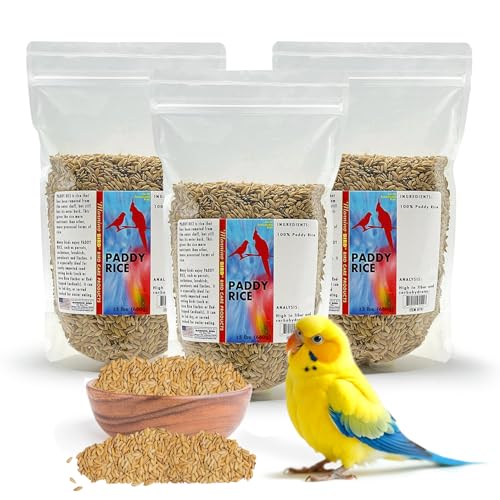 Morning Bird Paddy Rice Bird Seed for Optimal Health & Nutritious Pet Bird Food – Supports Feathers & Immunity – Ideal for All Seed Eating Birds. 4.5 lbs (3-Pack, 1.5 lbs Each)