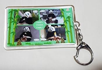 Amazon.co.jp: アドベンチャーワールド パンダ楓浜 アクリル