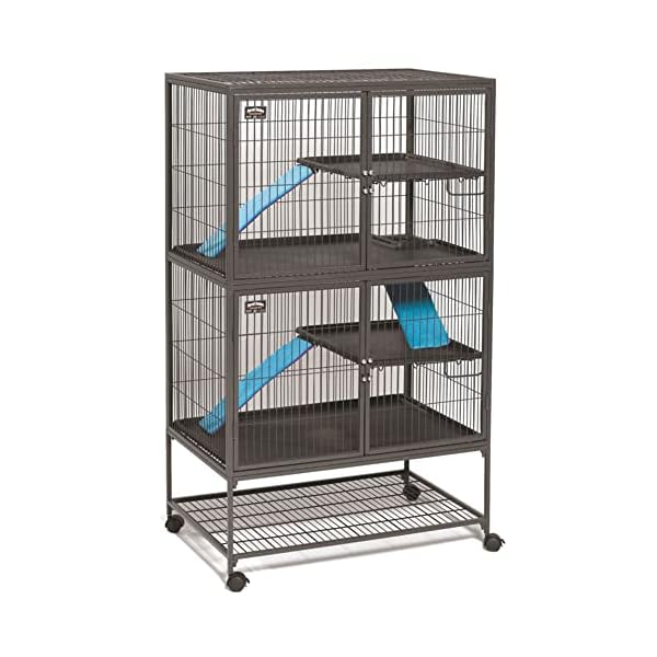MidWest-Homes-for-Pets-Ferret-Nation-Upper-Scatter-Guard-for-Ferret-Nation-Critter-Nation-Small-Animal-Cages MidWest-Homes-for-Pets-Ferret-Nation-Upper-Scatter-Guard-for-Ferret-Nation-Critter-Nation-Small-Animal-Cages