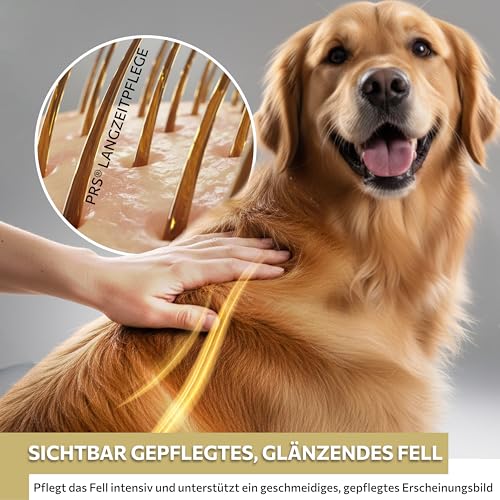 Peticare® Hunde Trockenshampoo (200 ml) – Natürliches Hundeshampoo gegen Geruch & Schmutz – ohne Wasser – Sanfte Fellpflege für Hunde & Welpen – für alle Fellarten – mit Argan- & Kokosöl