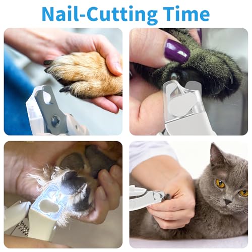 Foydream Krallenschere für Hunde, Haustier Nagelknipser mit LED-Licht, Nagelfeile Krallenpflege für Mittlere & Kleine Hunde und Katzen, Nagelknipser Professionelle Mit Sicherheitsschutz
