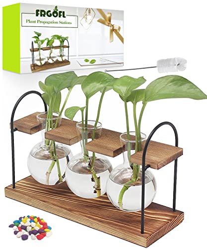 FRGOFL Propagation Plant Stations with Wooden Stand and Terrarium for Propagating Hydroponic Plants Flowers Home Office Garden Decor, 3 Bulb Glass Vase(Retro Color)