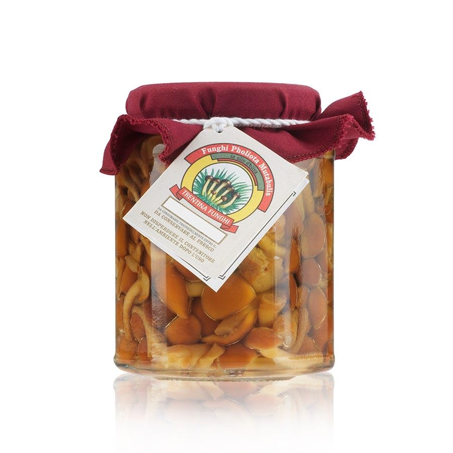 FUNGHI CHIODINI PHOLIOTA MUTABULIS 290 GR