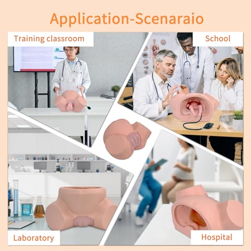 Image of Birth Midwifery Training Model Simulator, Life Size Childbirth Demonstration Obstetrics Gynecology Normal Abnormal Fetal Positions Delivery Maternity Manikin for Teaching Medical
