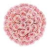 Colour Republic Fresh Cut Premium Ecuadorian Pink Roses, 50 Fresh Flowers