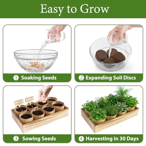 LUOJIBIE Herb Garden Kit Indoor, Herb Growing Kit with Seeds & Tools, Birthday Gifts for Women Men Mom Dad Girls Boys Kids, House Warming Gifts New Home, Kitchen Décor - Image 3