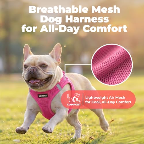 Image of Voyager Step-in Air Dog Vest Harness - Fuchsia, XXX-Small | 11 - 12 inch in Chest, Reflective Bands, All Weather Breathable Air Mesh, Cats Compatible, Lightweight, Fast Drying