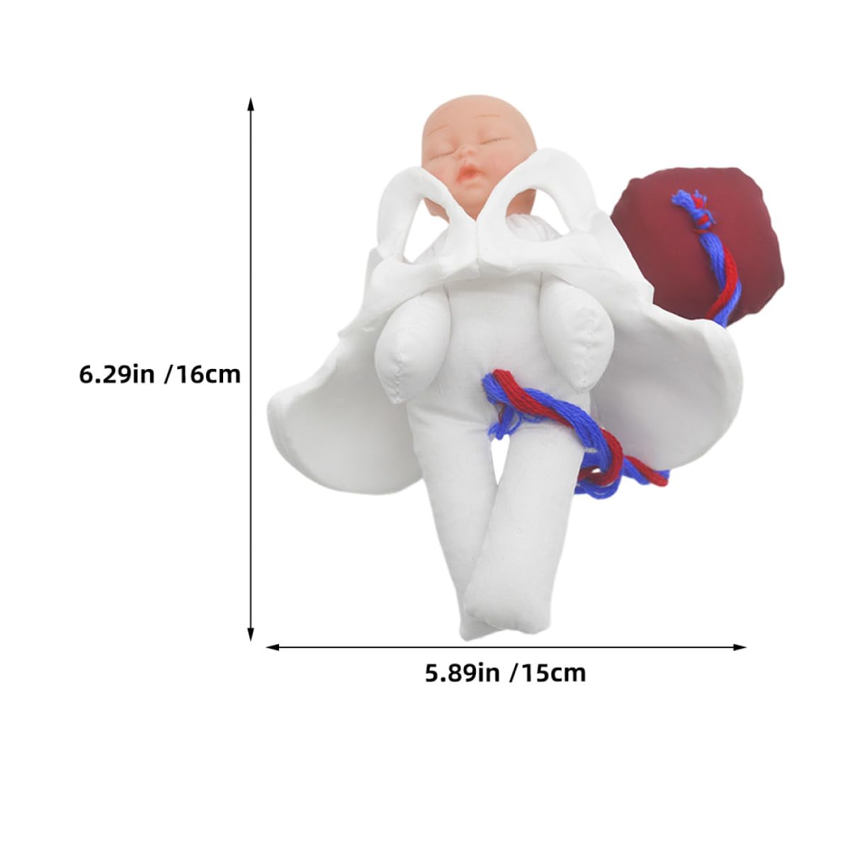 Operitacx Modèle Outil Polyvalent Cordon Ombilical et Placenta de Simulation D'accouchement en Pvc Fœtus Détaillé pour Formation Prénatale et Éducation Médicale