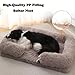 Hixingo Volltonfarbe Plüsch Hundebett Grosse Hunde, rutschfest MittelgroBe Katzenbett, Quadratisch Hundekissen, Bequem Flauschige Hundematte, für Balkon Wohnzimmer Reisen (Bunt,XXL)
