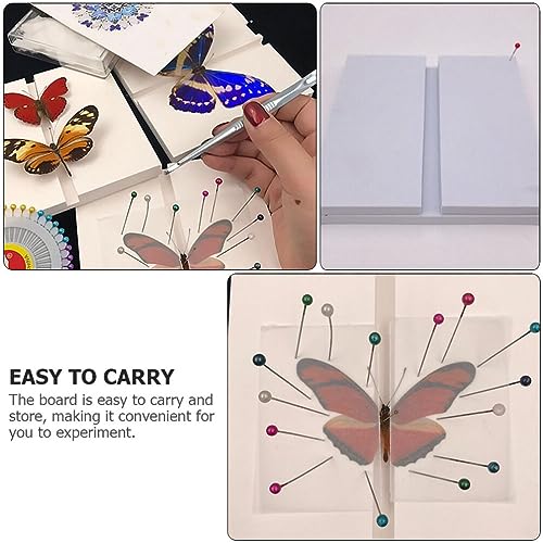 Image of ULTECHNOVO PVC Specimen Display Board for Science Education Insect Collection and Experiment Teaching Tool Portable and Easy to Store Ideal for Classroom Use